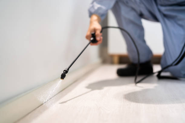Bed Bug Pre-Treatment Preparation Assessment in De Soto