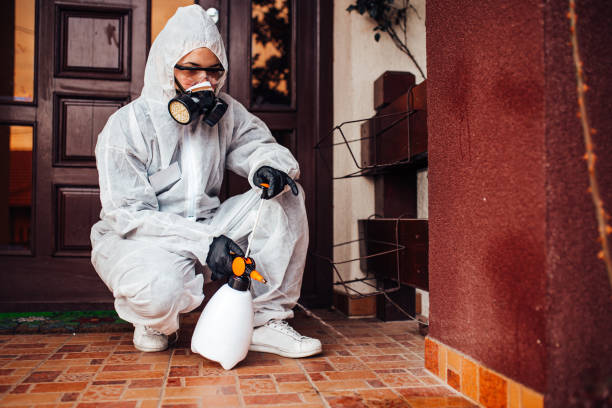 Multi-Unit and Airbnb Bed Bug Protocol in De Soto