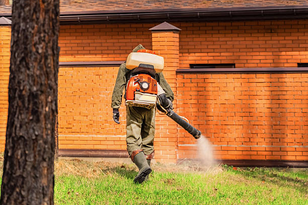 Bed Bug Clearance Verification and Documentation in De Soto